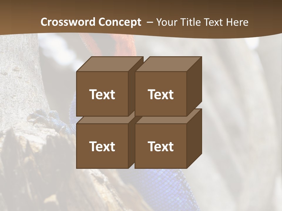 Agama Agama Colourful Colorful PowerPoint Template