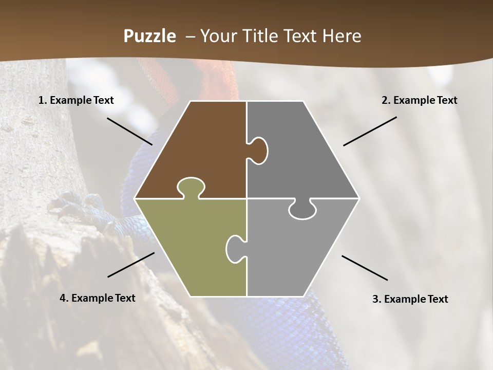 Agama Agama Colourful Colorful PowerPoint Template