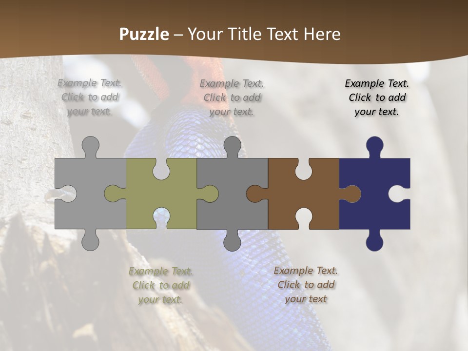 Agama Agama Colourful Colorful PowerPoint Template