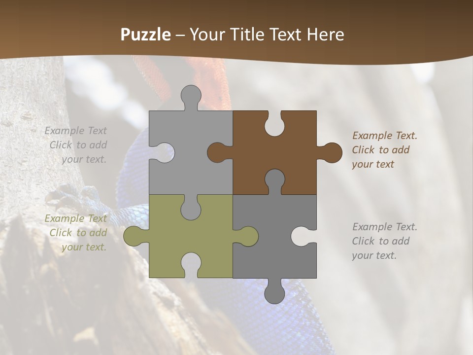 Agama Agama Colourful Colorful PowerPoint Template