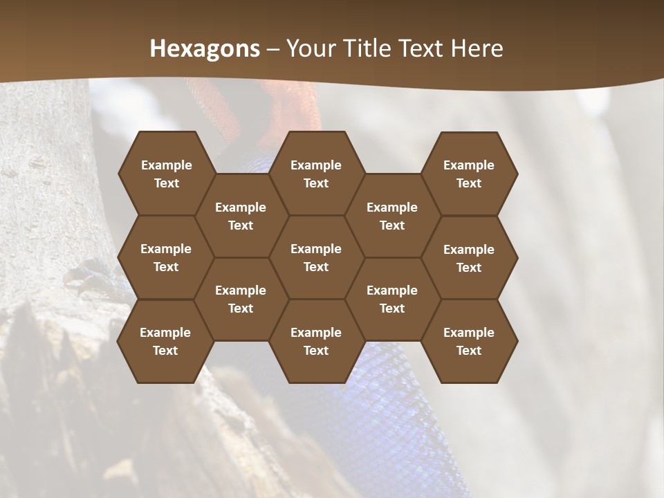 Agama Agama Colourful Colorful PowerPoint Template