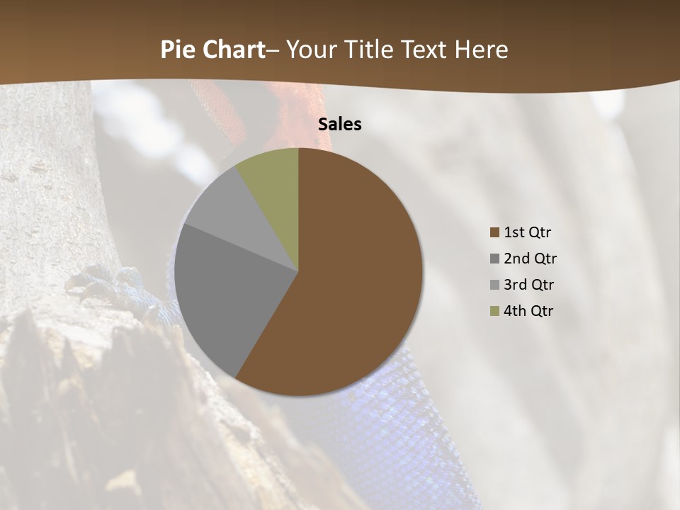 Agama Agama Colourful Colorful PowerPoint Template