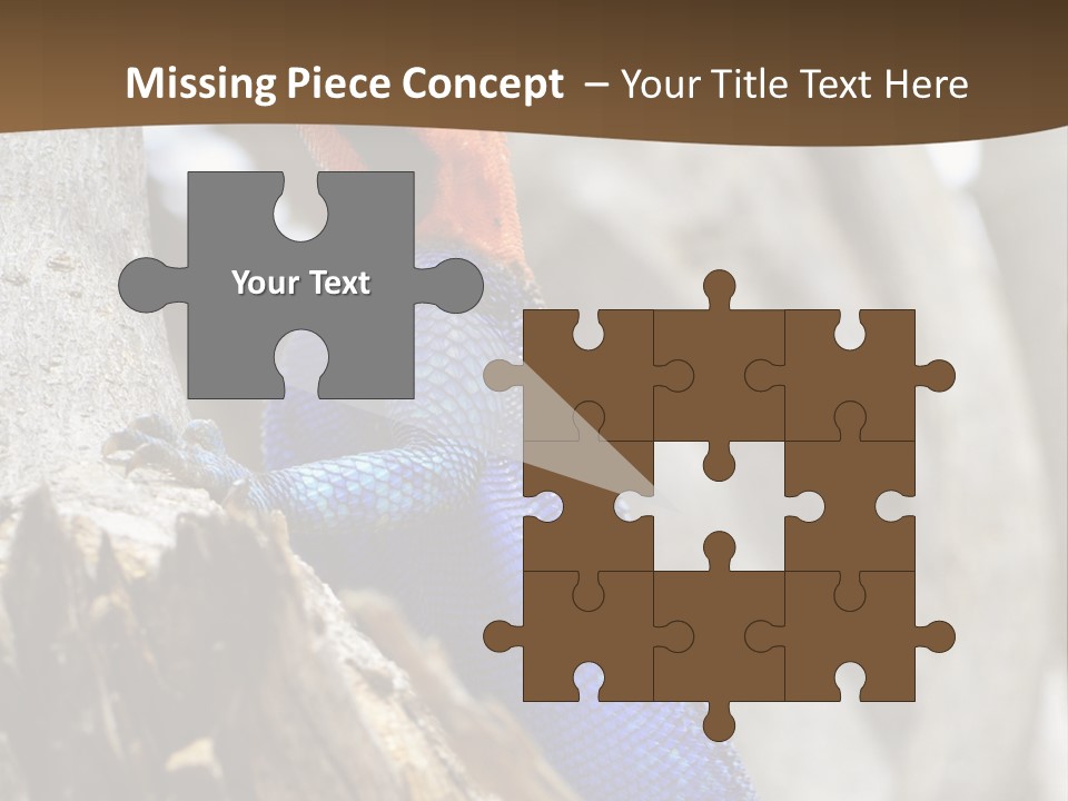 Agama Agama Colourful Colorful PowerPoint Template