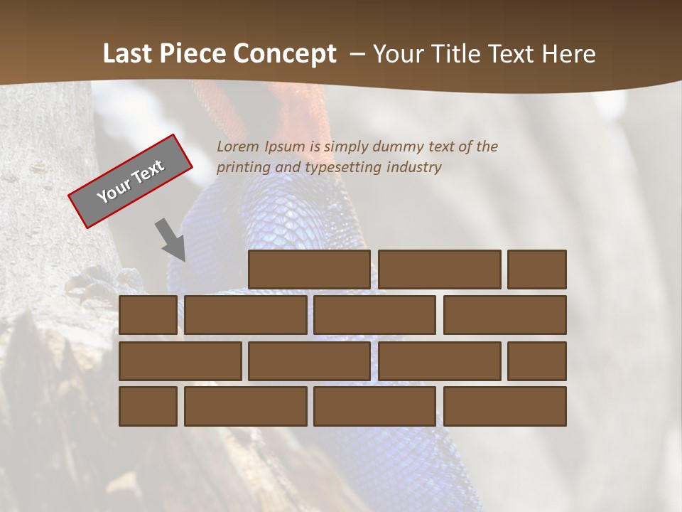 Agama Agama Colourful Colorful PowerPoint Template