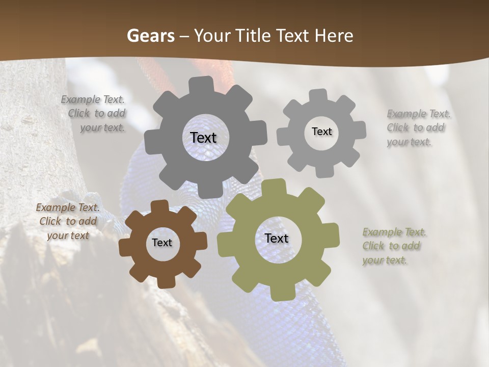 Agama Agama Colourful Colorful PowerPoint Template