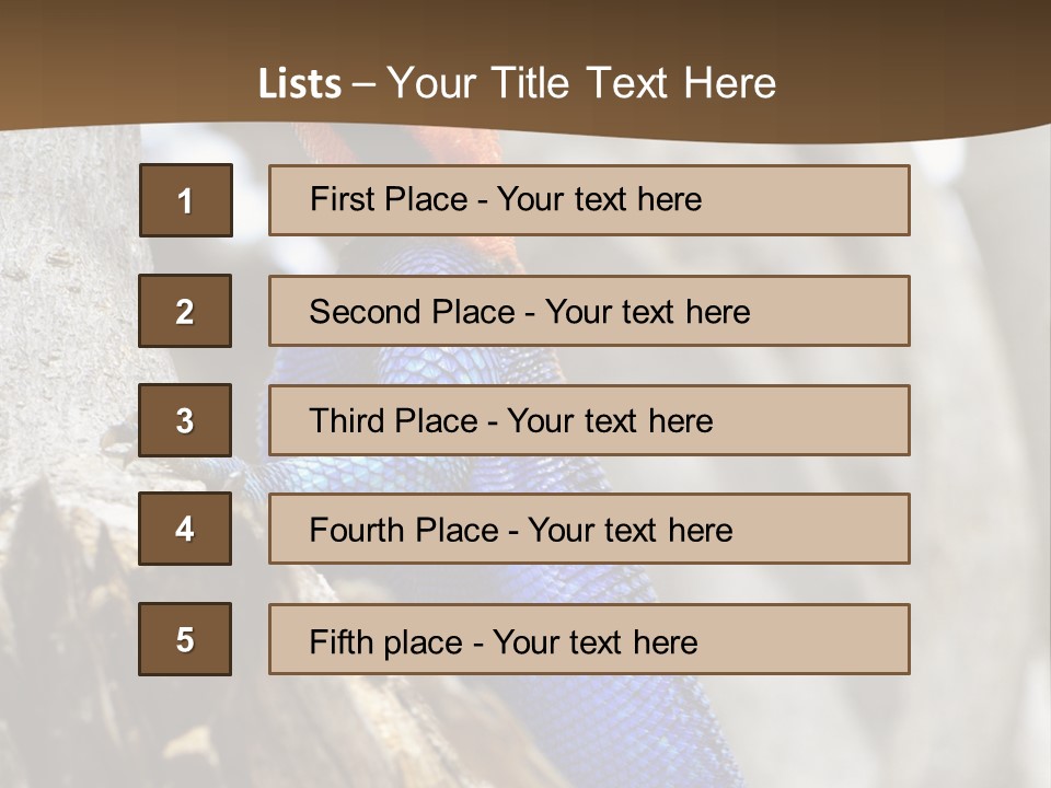 Agama Agama Colourful Colorful PowerPoint Template