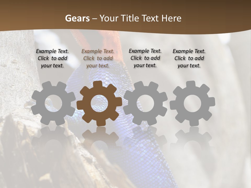 Agama Agama Colourful Colorful PowerPoint Template