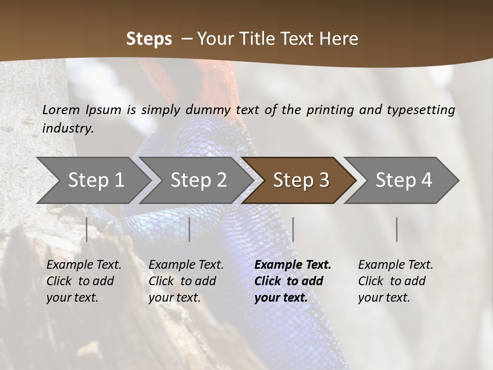Agama Agama Colourful Colorful PowerPoint Template