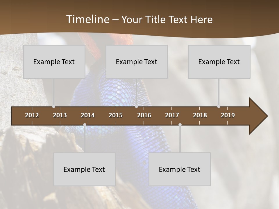 Agama Agama Colourful Colorful PowerPoint Template