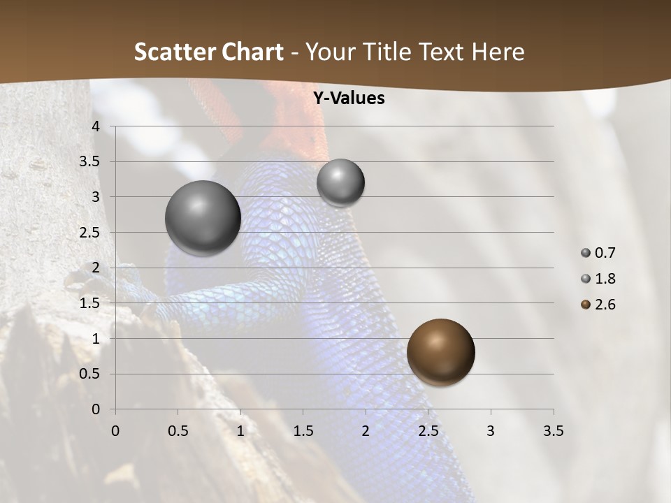Agama Agama Colourful Colorful PowerPoint Template