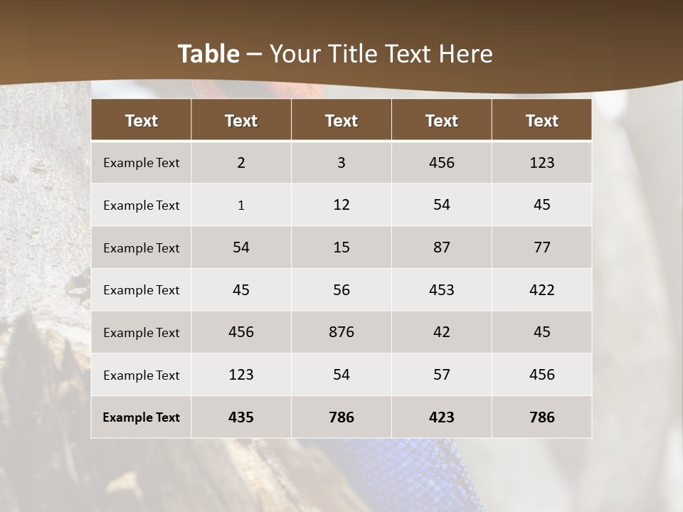 Agama Agama Colourful Colorful PowerPoint Template