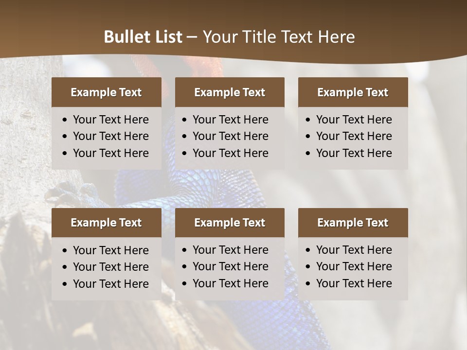 Agama Agama Colourful Colorful PowerPoint Template