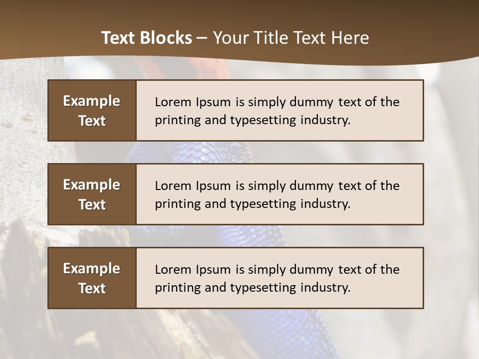 Agama Agama Colourful Colorful PowerPoint Template