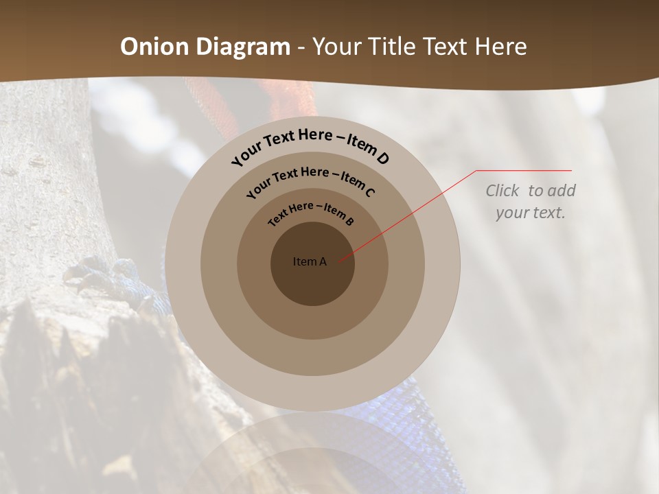 Agama Agama Colourful Colorful PowerPoint Template