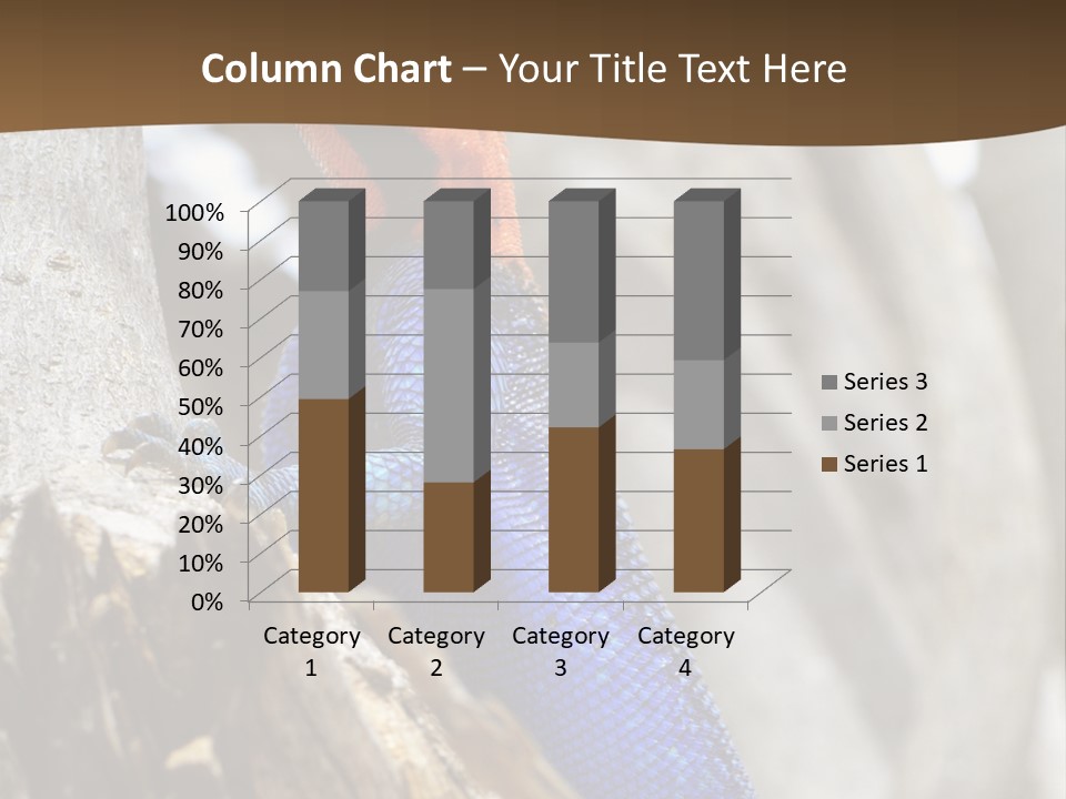Agama Agama Colourful Colorful PowerPoint Template