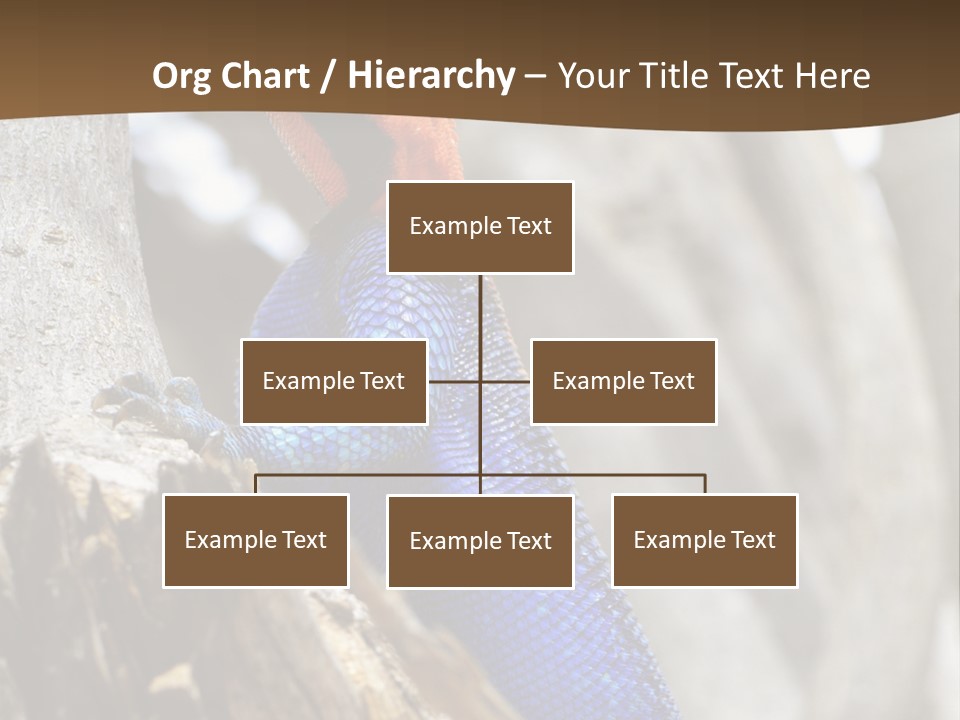 Agama Agama Colourful Colorful PowerPoint Template