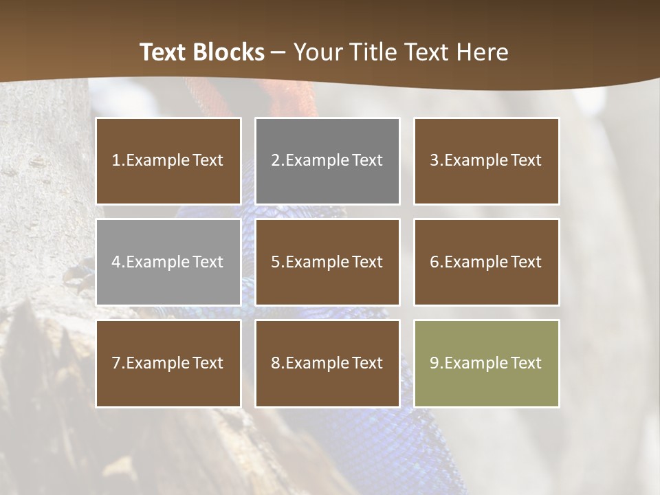 Agama Agama Colourful Colorful PowerPoint Template