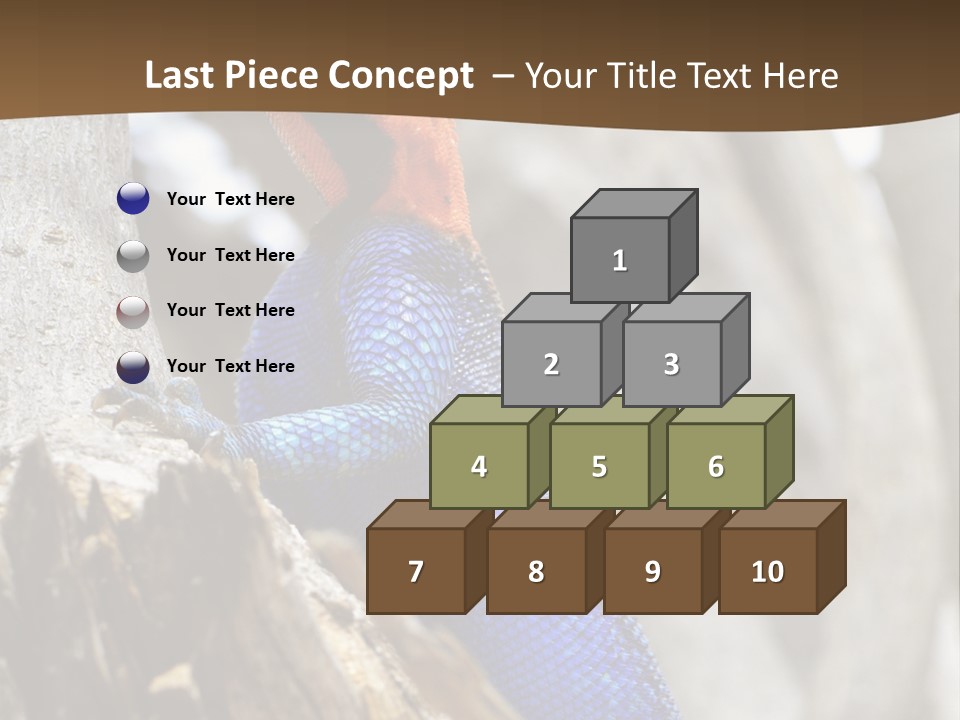 Agama Agama Colourful Colorful PowerPoint Template