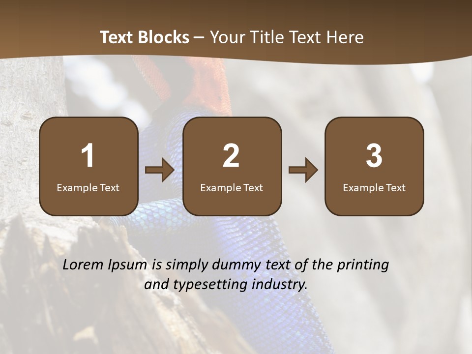 Agama Agama Colourful Colorful PowerPoint Template