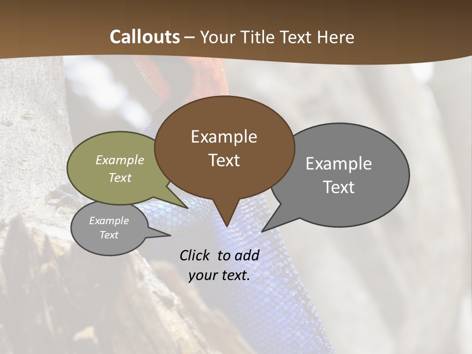 Agama Agama Colourful Colorful PowerPoint Template
