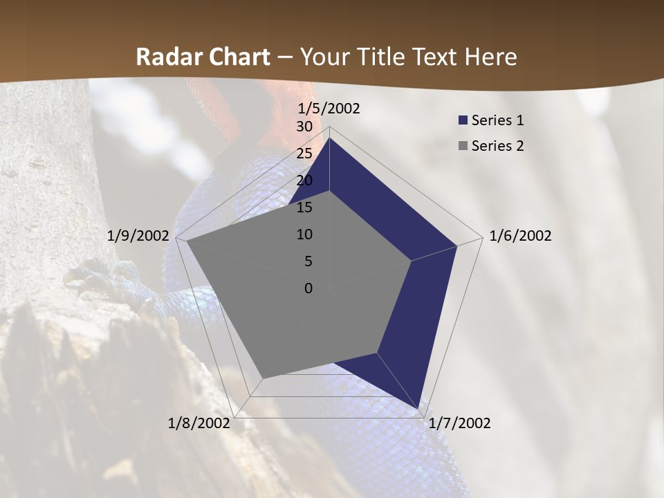 Agama Agama Colourful Colorful PowerPoint Template