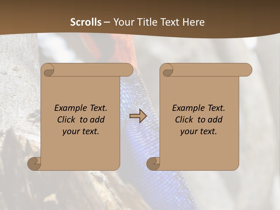 Agama Agama Colourful Colorful PowerPoint Template