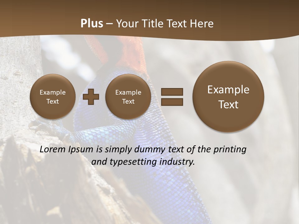 Agama Agama Colourful Colorful PowerPoint Template