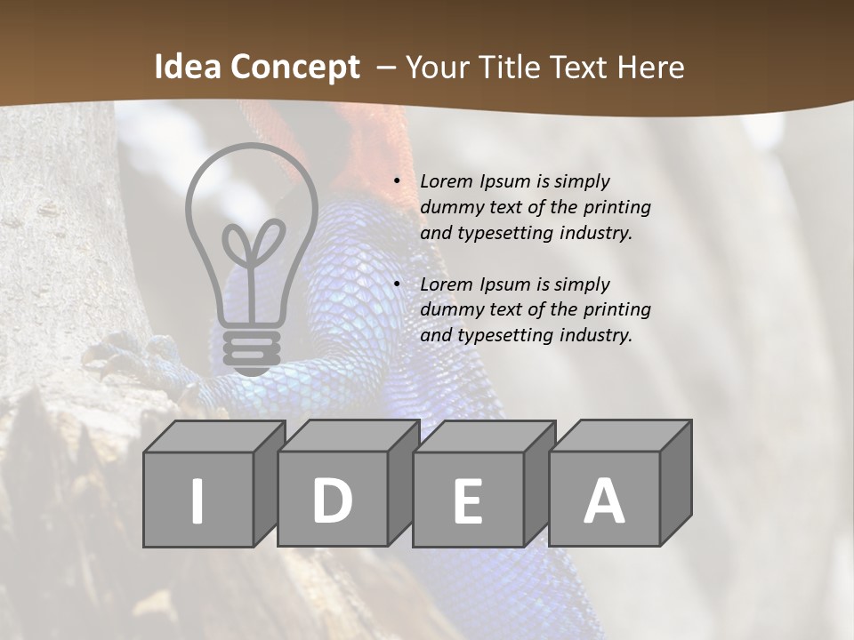 Agama Agama Colourful Colorful PowerPoint Template