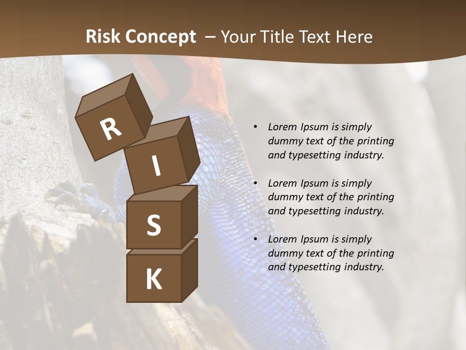 Agama Agama Colourful Colorful PowerPoint Template