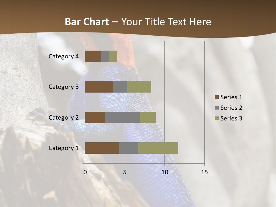 Agama Agama Colourful Colorful PowerPoint Template
