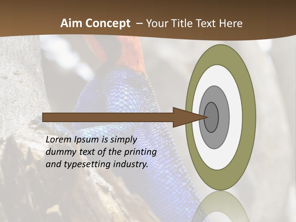 Agama Agama Colourful Colorful PowerPoint Template