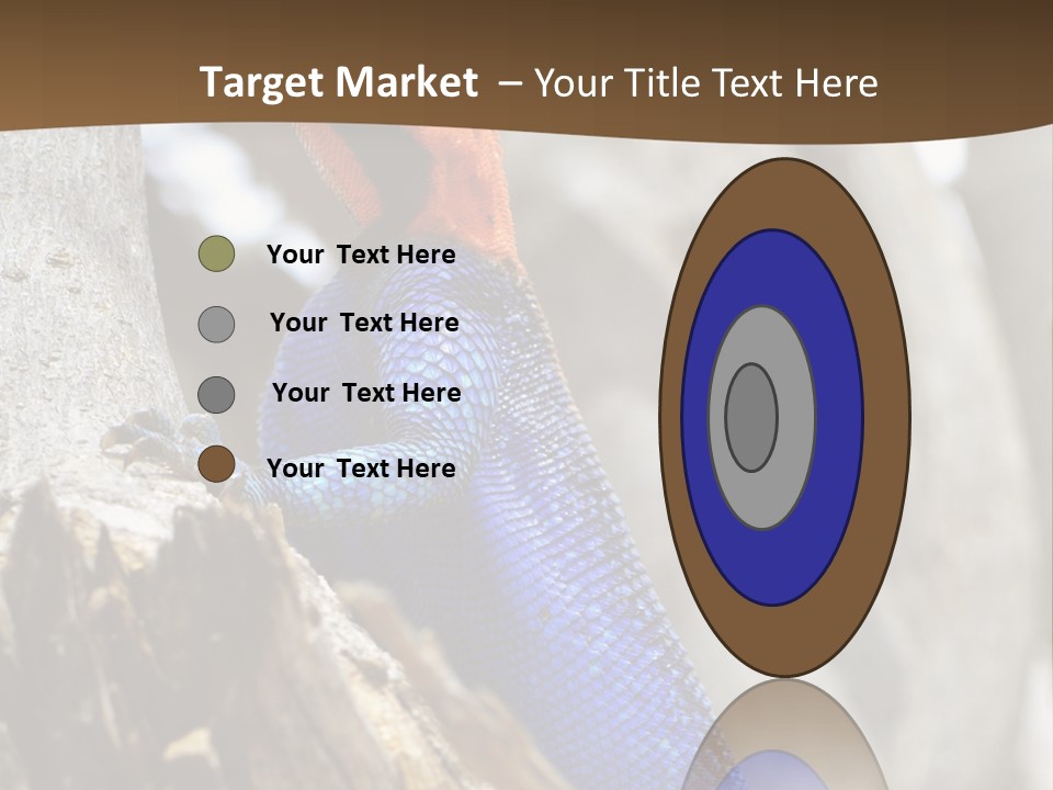 Agama Agama Colourful Colorful PowerPoint Template