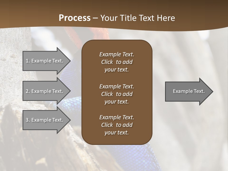 Agama Agama Colourful Colorful PowerPoint Template
