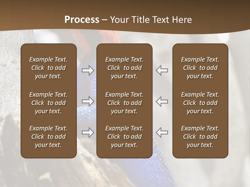 Agama Agama Colourful Colorful PowerPoint Template