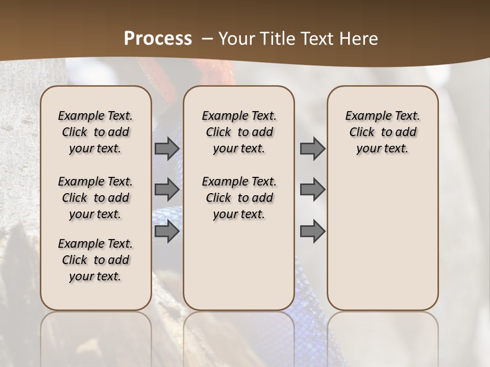 Agama Agama Colourful Colorful PowerPoint Template