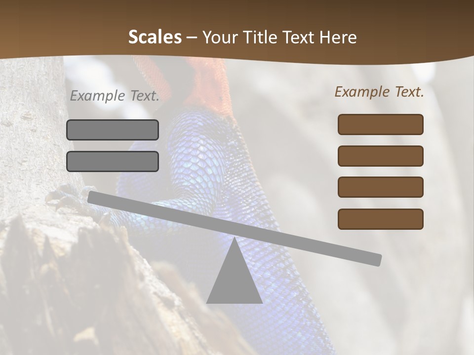 Agama Agama Colourful Colorful PowerPoint Template