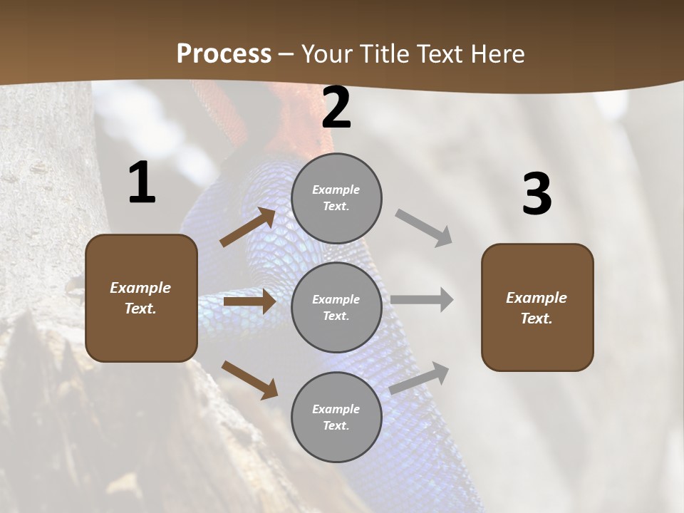 Agama Agama Colourful Colorful PowerPoint Template