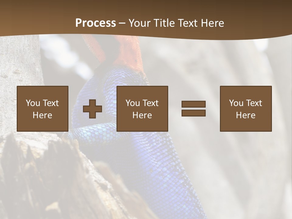 Agama Agama Colourful Colorful PowerPoint Template