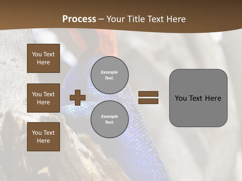 Agama Agama Colourful Colorful PowerPoint Template