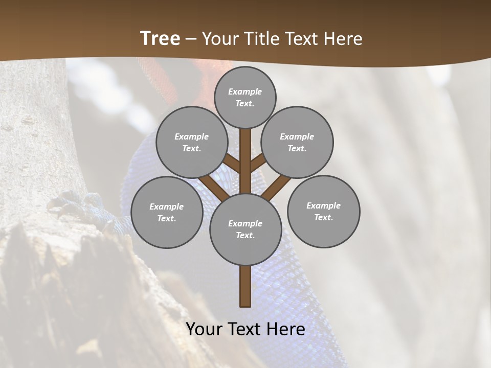 Agama Agama Colourful Colorful PowerPoint Template