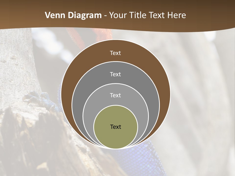 Agama Agama Colourful Colorful PowerPoint Template