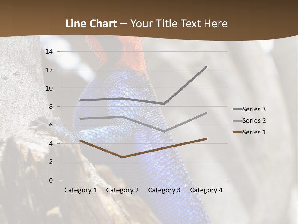 Agama Agama Colourful Colorful PowerPoint Template