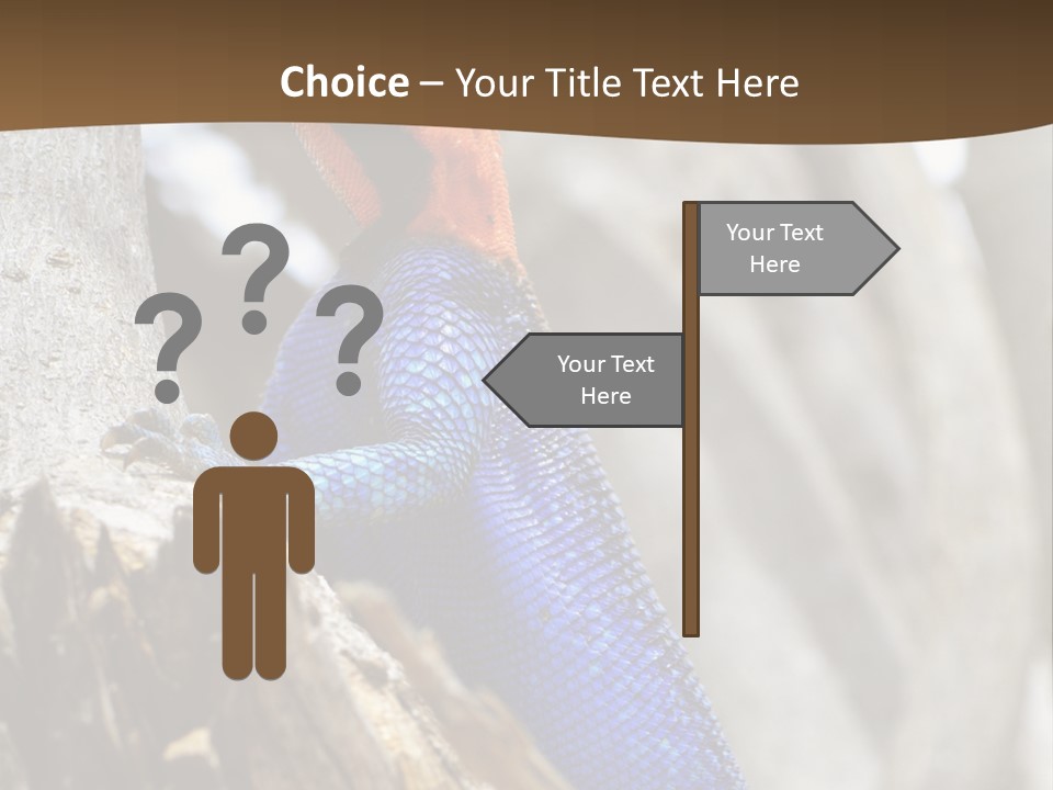 Agama Agama Colourful Colorful PowerPoint Template