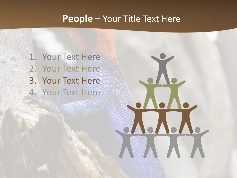 Agama Agama Colourful Colorful PowerPoint Template