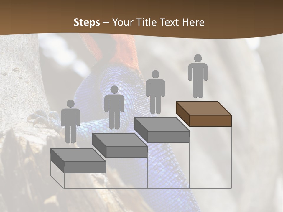 Agama Agama Colourful Colorful PowerPoint Template