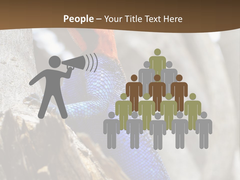 Agama Agama Colourful Colorful PowerPoint Template