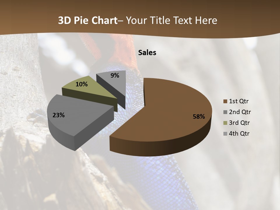 Agama Agama Colourful Colorful PowerPoint Template