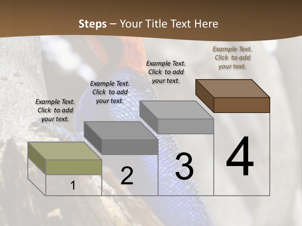 Agama Agama Colourful Colorful PowerPoint Template