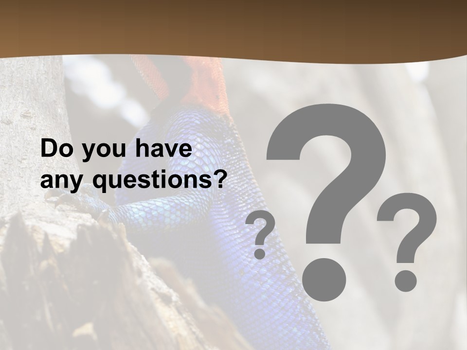 Agama Agama Colourful Colorful PowerPoint Template