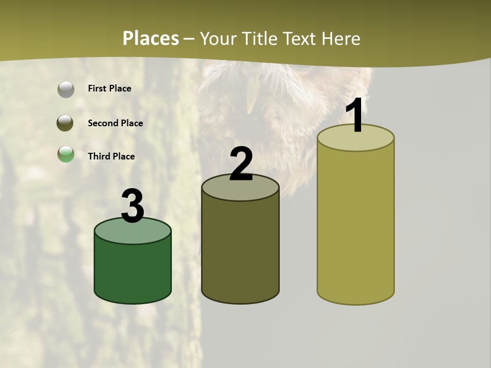 Owl Wildlife Hawk Conservancy PowerPoint Template